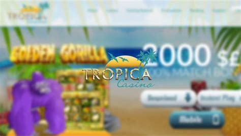 tropica casino no deposit bonus codes 2019